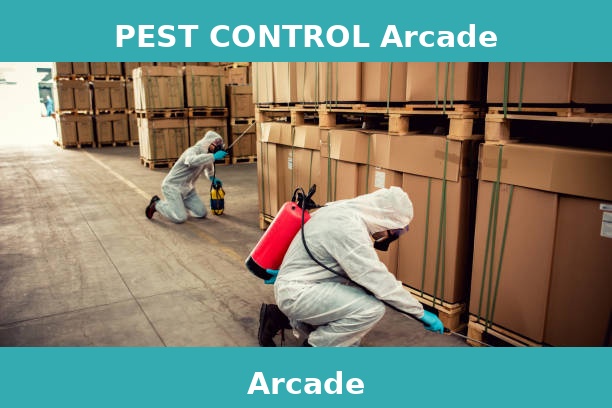 PEST CONTROL Arcade